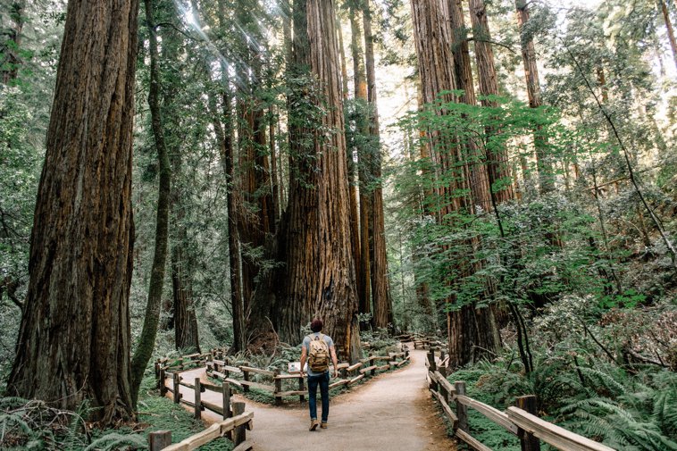 Muir Woods