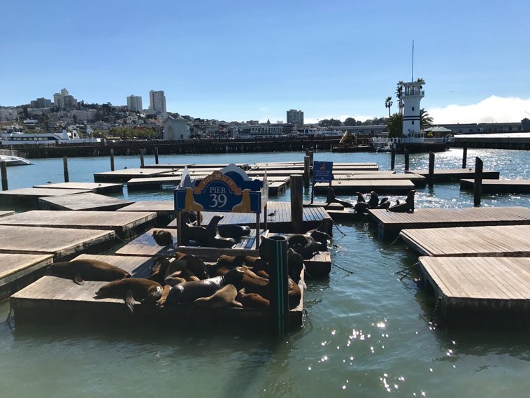 Pier 39, San Francisco 2