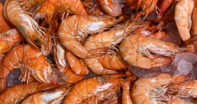 Seafood Santiago