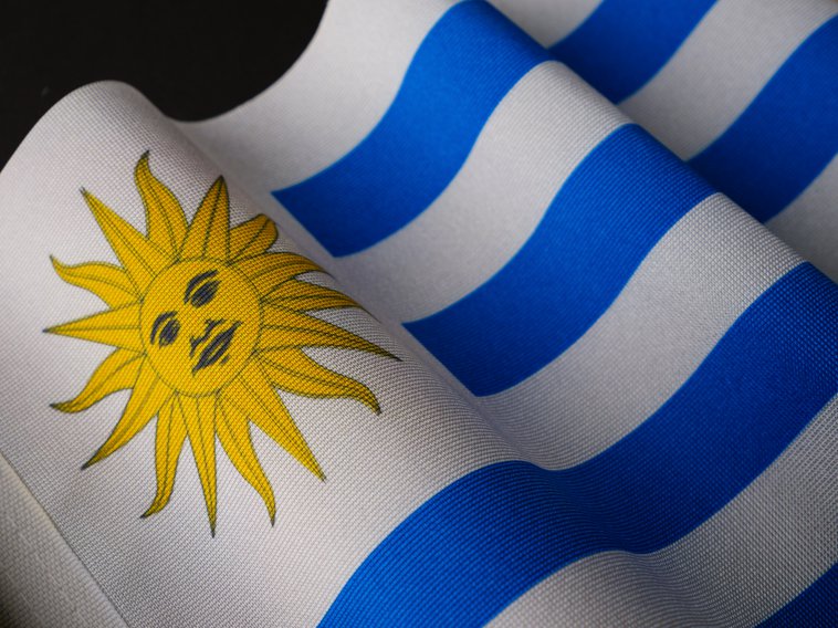 Uruguay Flag