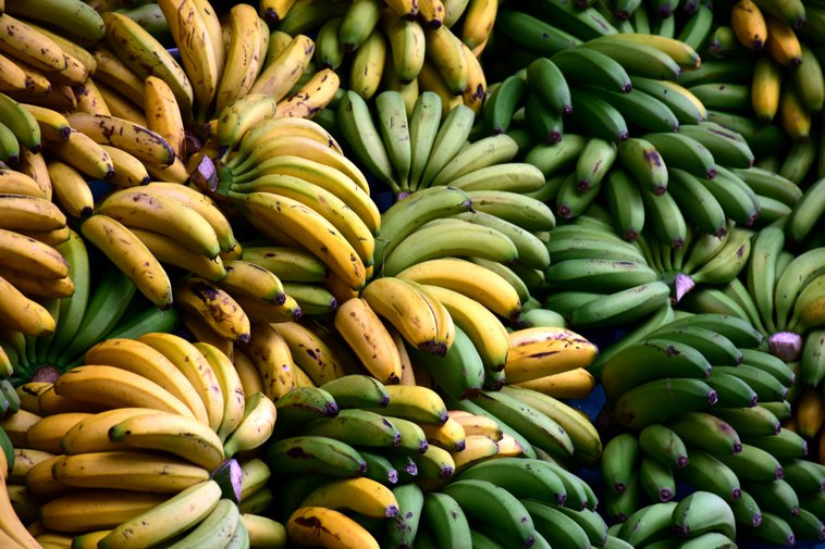 bunchofbananas