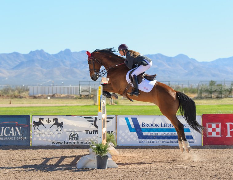 horse jumping