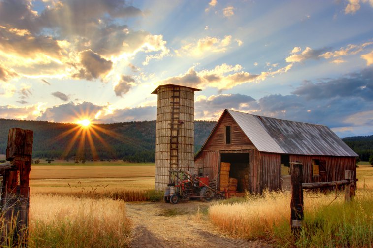 old barn and silo in a dry field