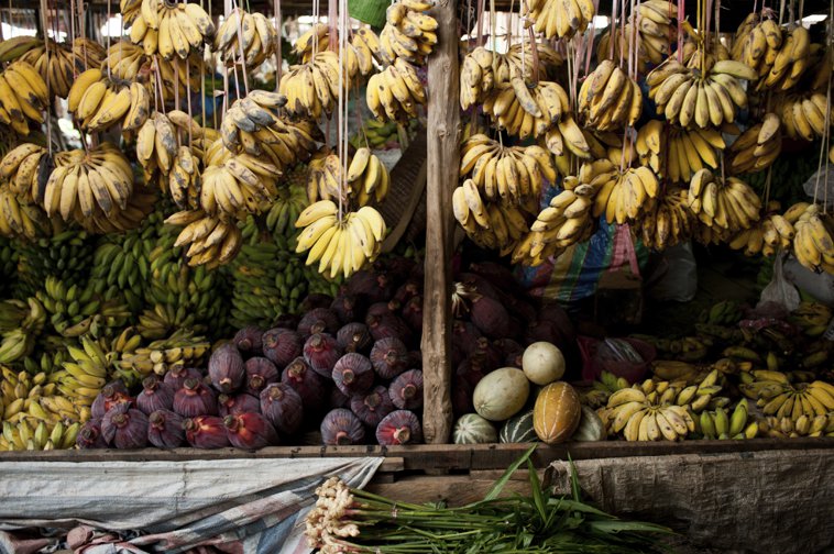 plátanos en el mercado