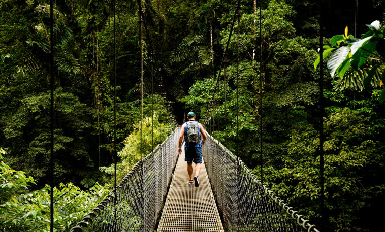 rope bridge in costa rica