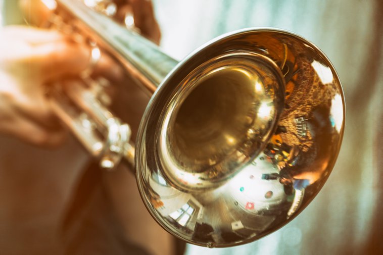 trumpet