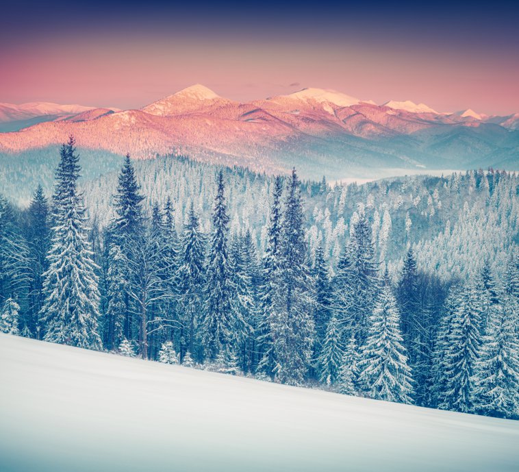 winter